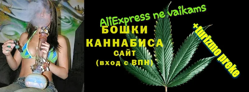 где можно купить   hydra ССЫЛКА  Канабис OG Kush  Валдай 